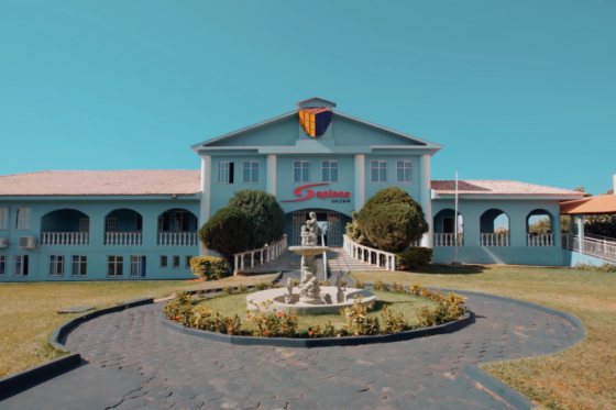 EDUCAÇÃO INFANTIL E ENSINO FUNDAMENTAL