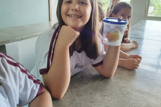 Observando a ação dos fungos na decomposição dos alimentos.